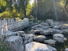 -莲花池公园