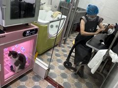 -乐琪宠物医院·犬猫专科·骨外科·急重症