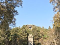 -茂陵博物馆