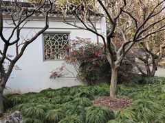 -东山雕花楼