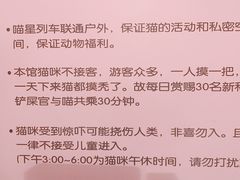 -猫咪博物馆(顶澳仔猫街店)