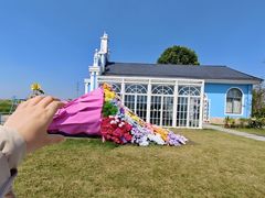 -杭州湾海上花田景区