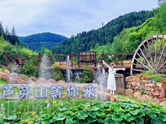 -芦芽山旅游度假区