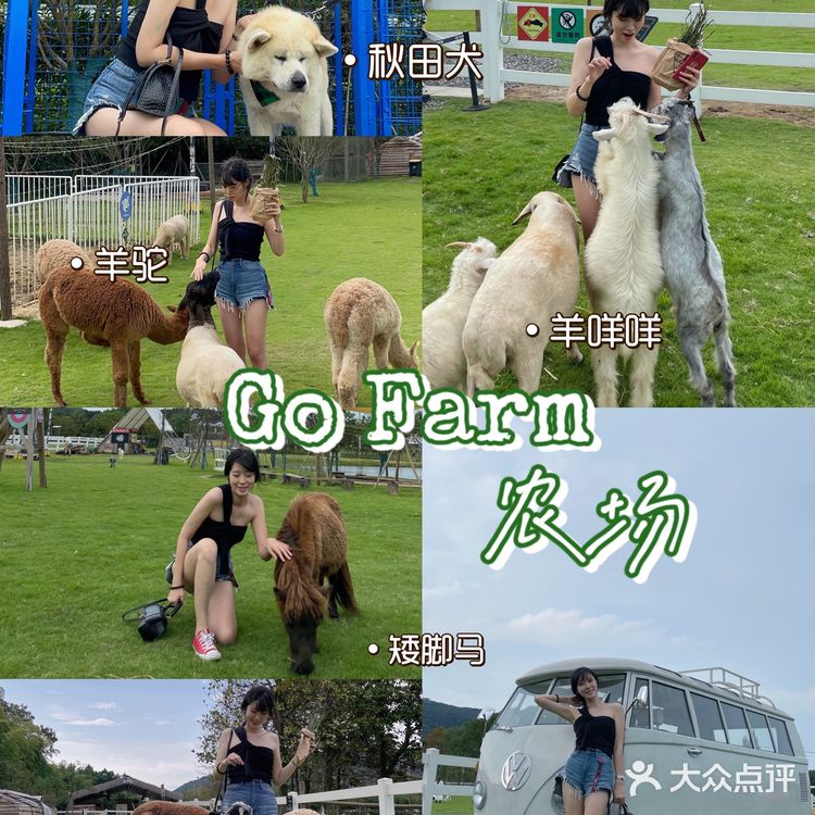 不用去肯尼亚🇰🇪也能和长颈鹿🦒共进早餐呀