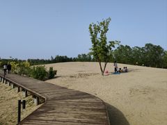 -东郊湿地公园
