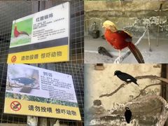 -森林公园(尖草坪区)