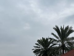 -厦门北海湾惠龙万达嘉华酒店