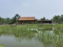 -张家湾公园
