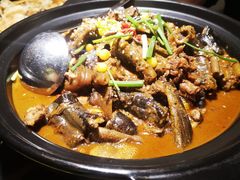 -状元甲·湖北甲鱼大王(汉口火车站店)