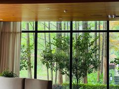 -天目湖涵田度假村