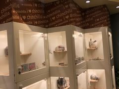 -龙猫仔乐园(惠福东路店)