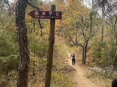 -青龙山国家森林公园