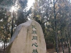 -黄帝陵