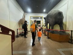 -国家自然博物馆