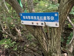 -红崖峡谷景区