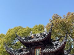 -西园戒幢律寺