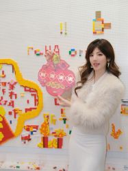 -乐高品牌旗舰店(人民广场店)