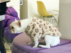 -怪兽屋·羊驼·猫咖·狗咖(俊华广场店)