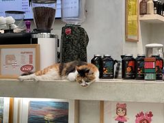 -玫瑰咖啡(中山六路店)