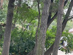 -长春市南湖公园