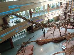 -安徽省地质博物馆