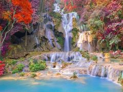 -上海东方佘山翰悦阁酒店·Vie全日制餐厅