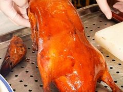 -上海总会SHANGHAICLUB(兴业太古汇店)