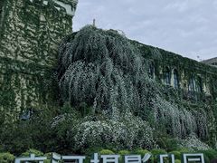 -府河摄影公园