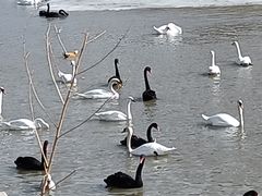 -新疆天山野生动物园