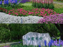 -海淀公园