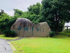 -荷塘月色湿地公园·向阳花洲