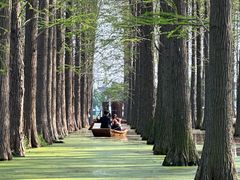 -渌洋湖湿地公园
