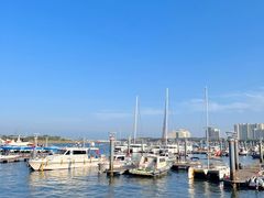 -巧克力渔家.小船海鲜胶东菜(万平口店)