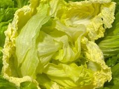 娃娃菜-古乐牛香·鲜牛肉牛杂火锅(吴江三里桥运东商业广场店)