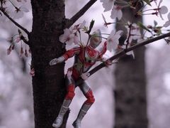 -龙美术馆(西岸馆)