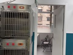 -总动员动物医院(宝丰院店)