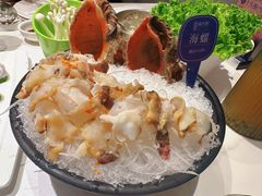 -海月轩海鲜豆捞(紫金塔店)