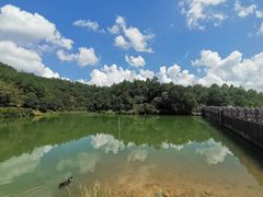 -广州白江湖森林公园