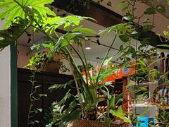 -懒人盐府人家·自贡大麻鱼(安贞店)