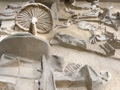 -洛阳周王城天子驾六博物馆