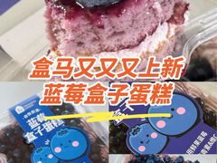 -盒马鲜生(红莲店)