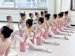 -韵姿少儿舞蹈(北外滩校区)