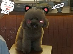 -漫笙舍Manse·咖啡·民宿