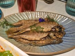 -龟兹KUCINA·新疆菜(前滩L+PLAZA店)