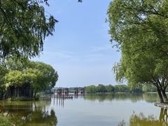 -石家庄市植物园