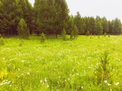 -塞罕坝国家级自然保护区