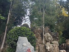 -莲湖公园