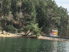 -四明山国家森林公园