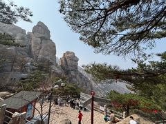 -崂山仰口游览区
