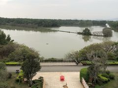 -大湾区中央湿地公园